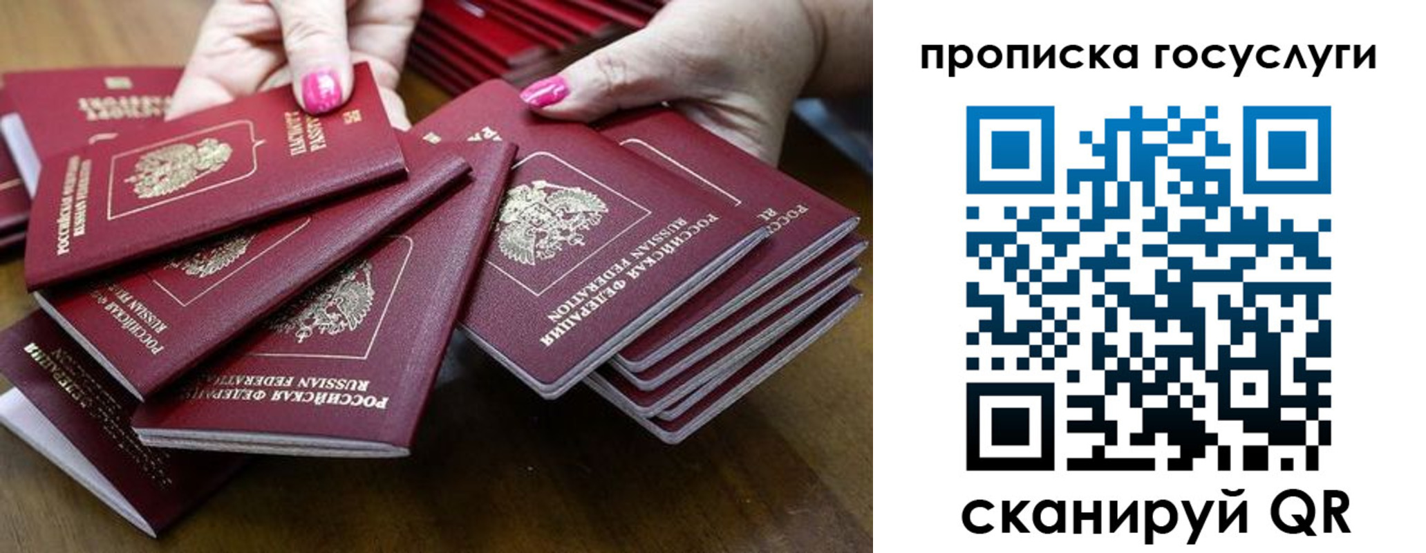 миграционный учет в Смоленской области